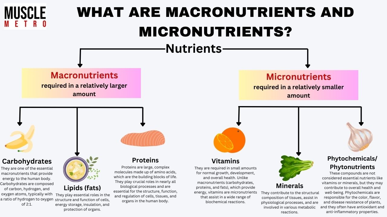 macro and micro diet